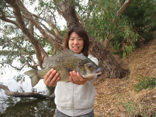 Sanae's Black Bream